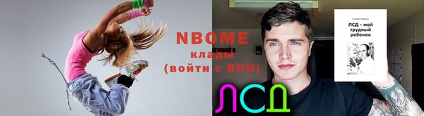 сатива Белокуриха